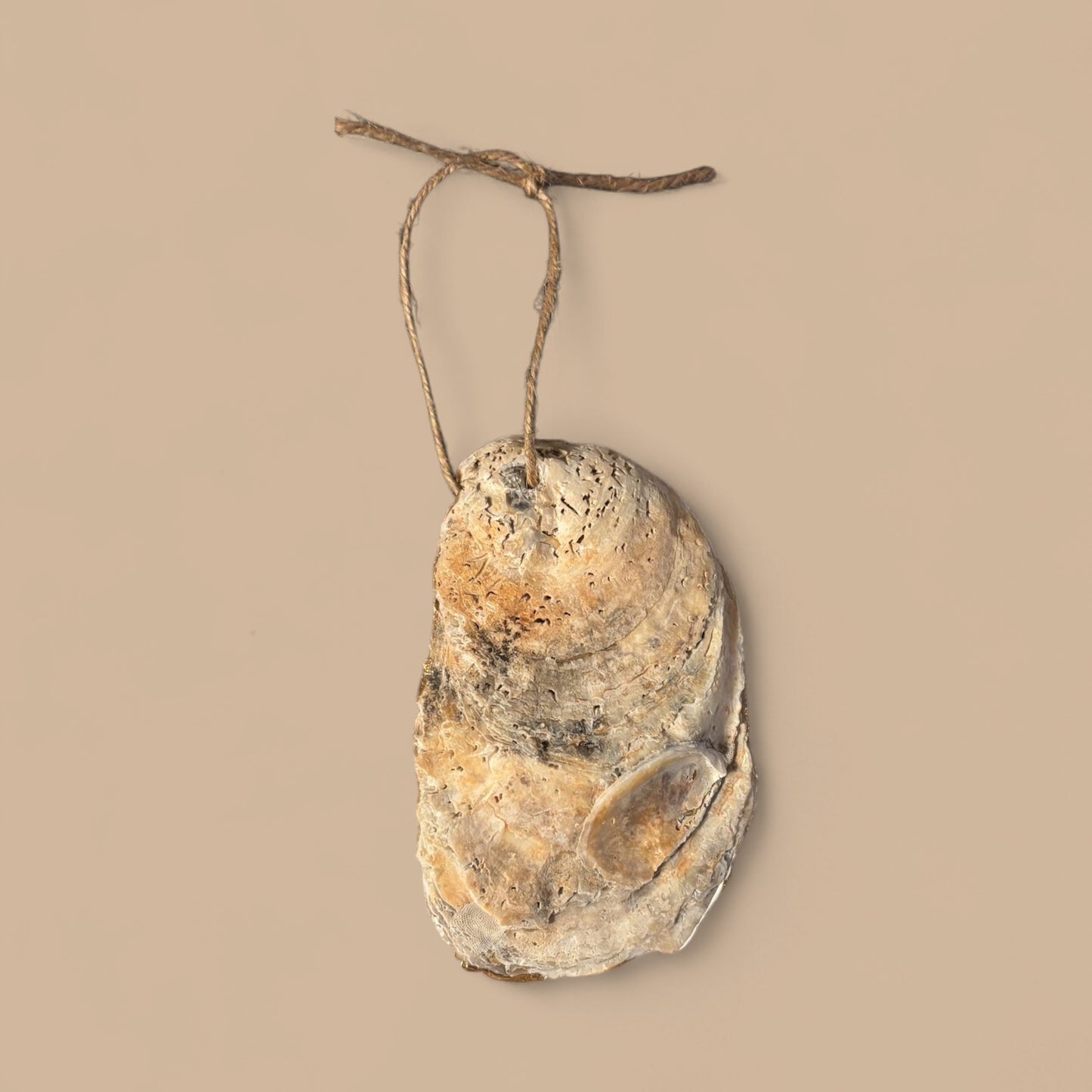 Decoupage Oyster Shell 202025