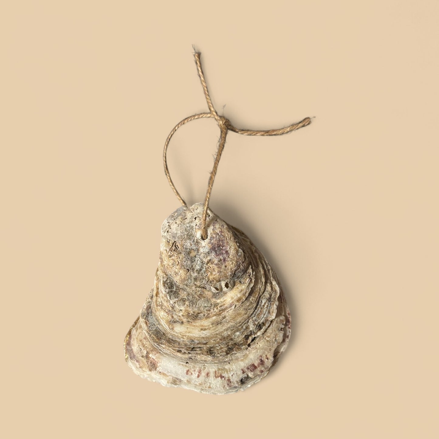 Decoupage Oyster Shell 242025