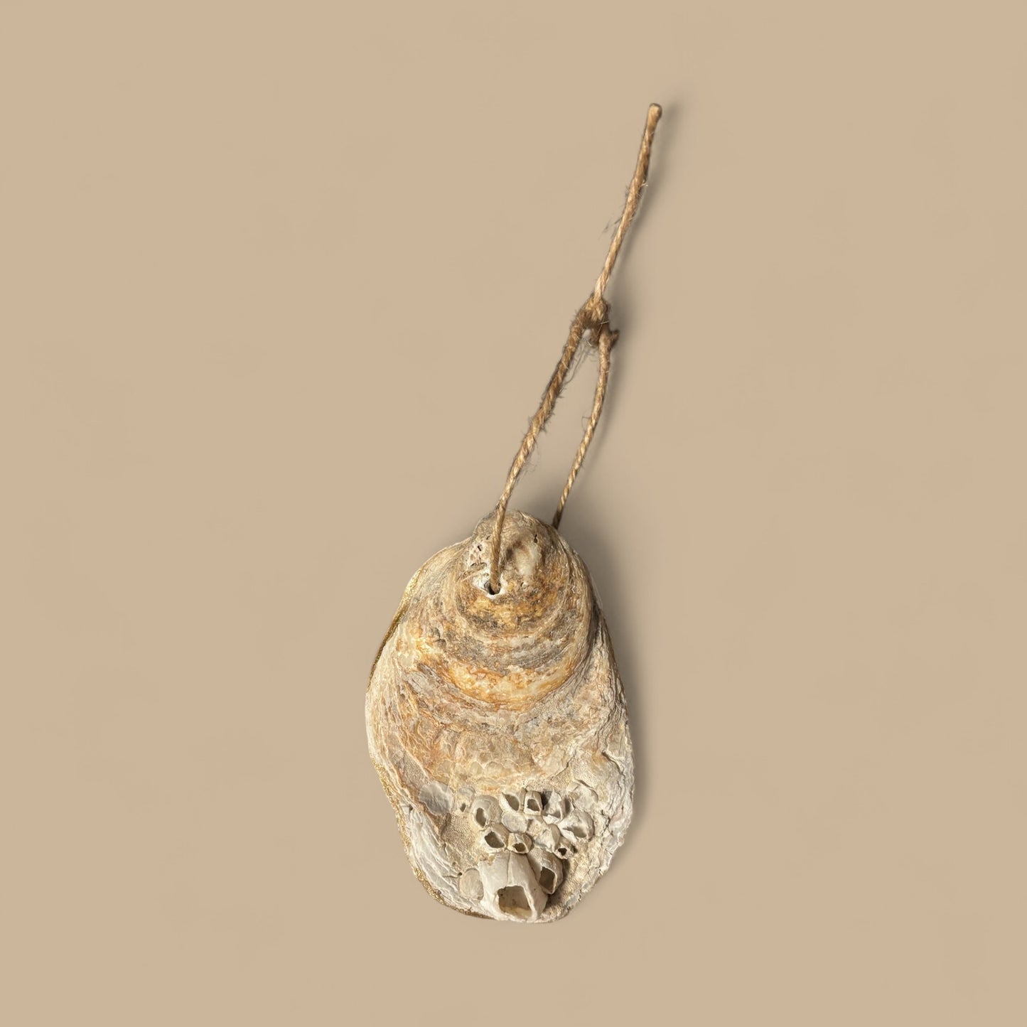 Decoupage Oyster Shell 232025