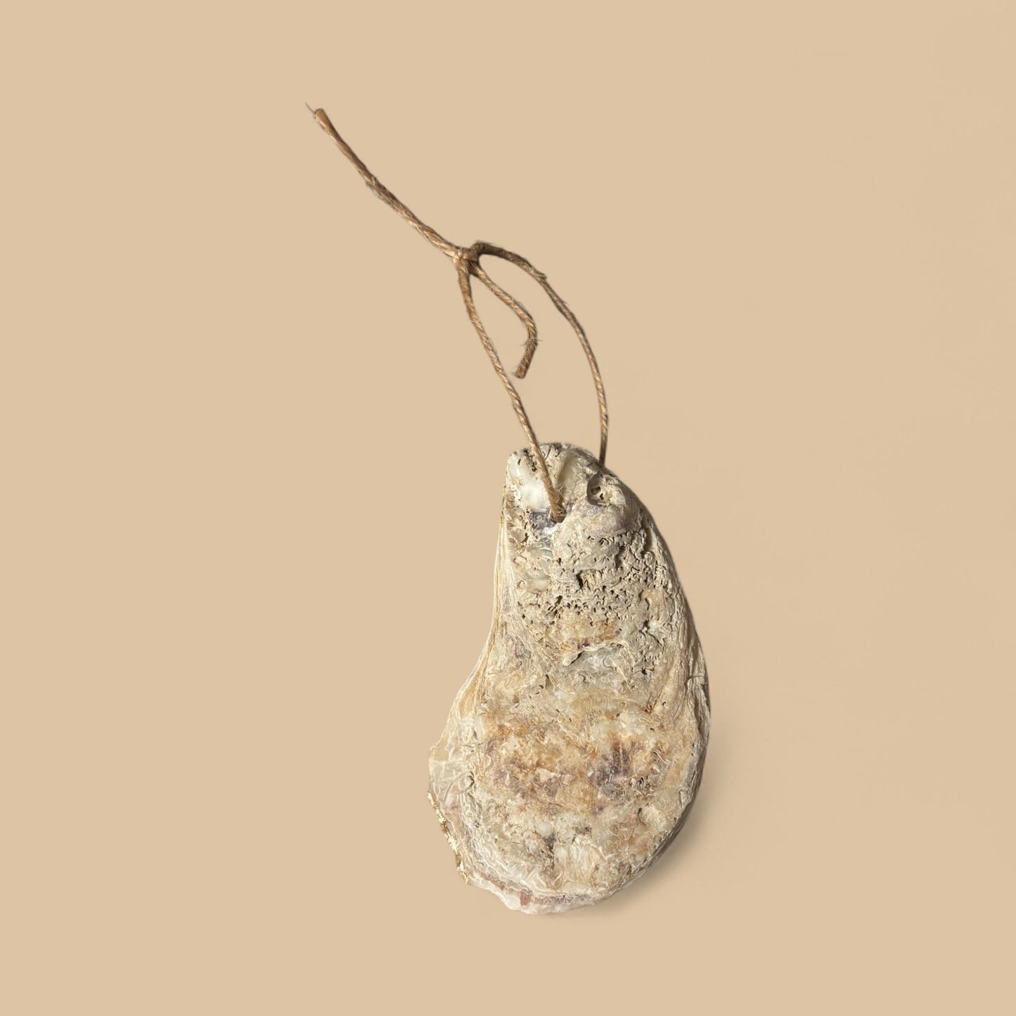 Decoupage Oyster Shell 222025