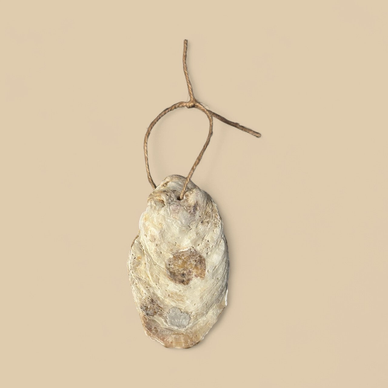Decoupage Oyster Shell 212025