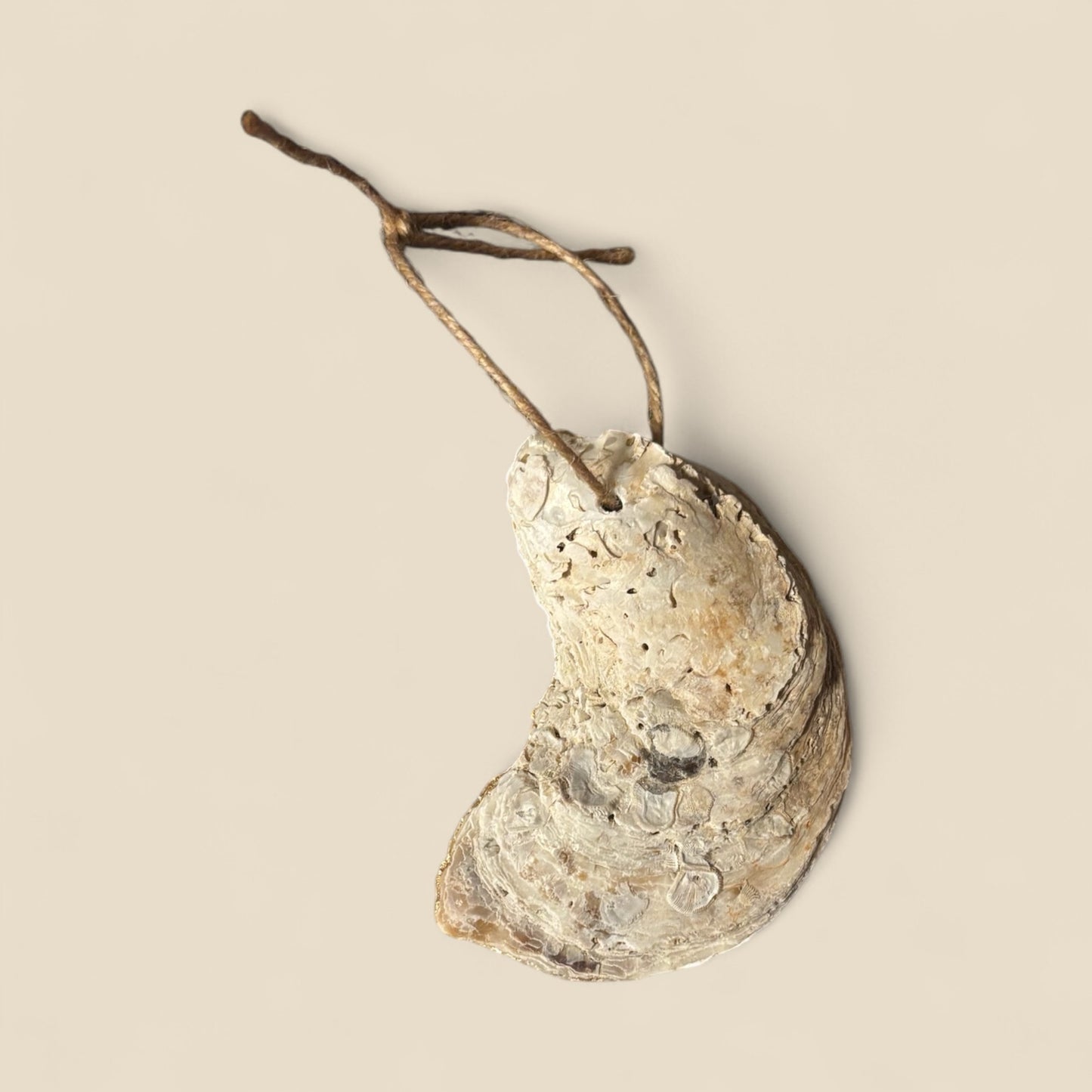 Decoupage Oyster Shell 252025