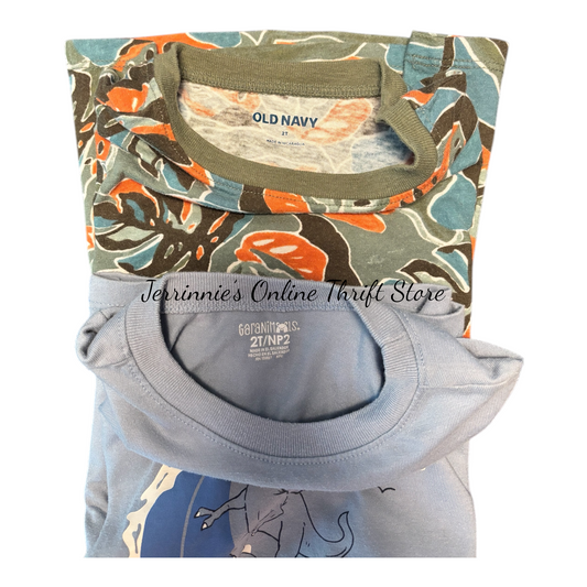 Boys 2T Tops Lot Sale